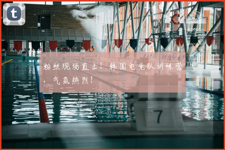 粉丝现场直击!韩国电竞队训练营,气氛热烈!