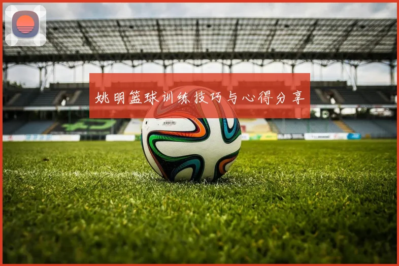 姚明篮球训练技巧与心得分享