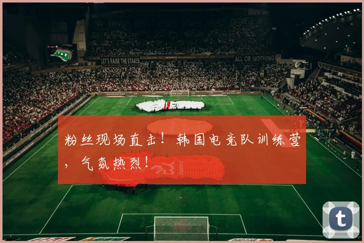 粉丝现场直击！韩国电竞队训练营，气氛热烈！
