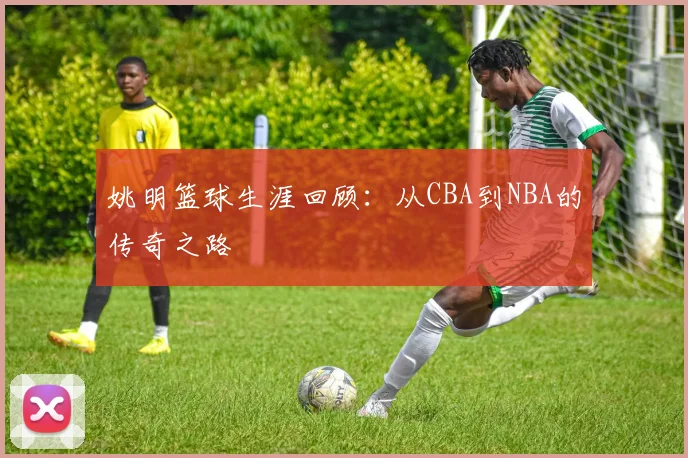 姚明篮球生涯回顾:从CBA到NBA的传奇之路