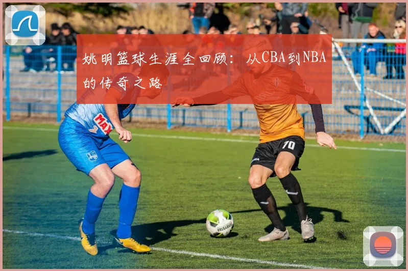 姚明篮球生涯全回顾:从CBA到NBA的传奇之路